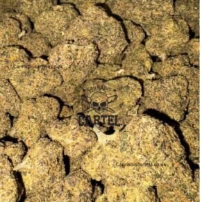 Buy midnight runtz UK