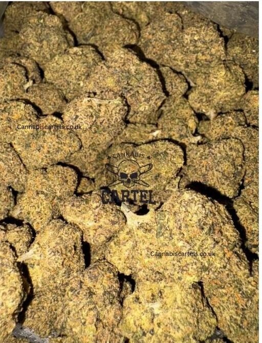 Buy midnight runtz UK