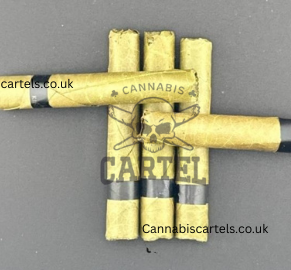 Cannagars pre-rolls